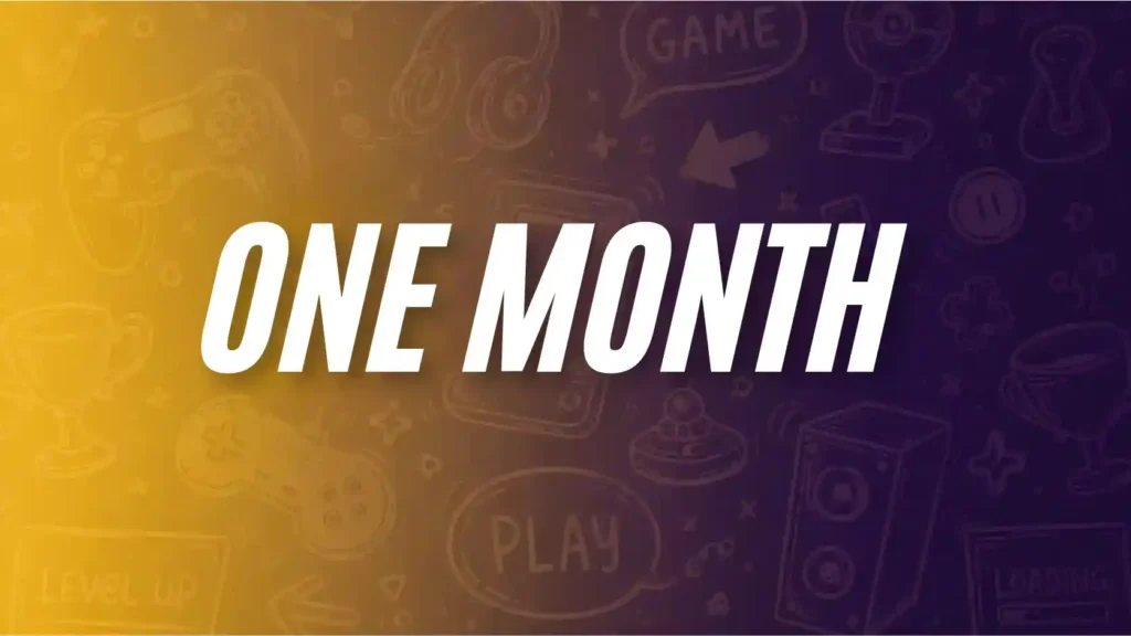 one months membership themeshive